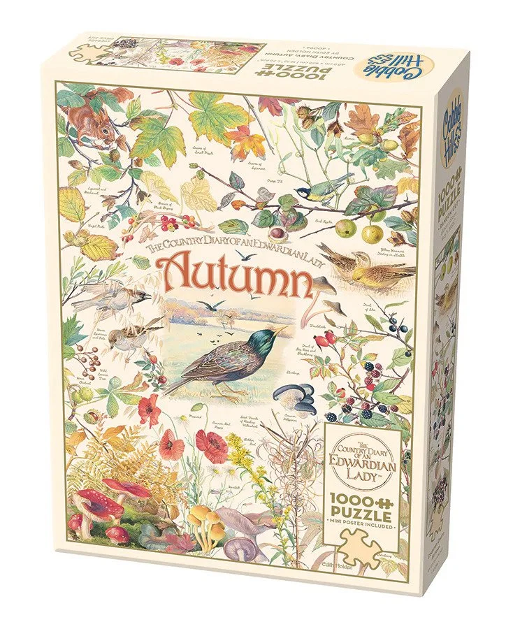 40094-Country Diary: Autumn