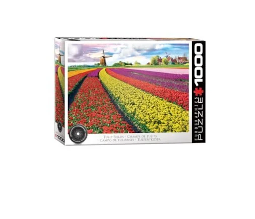 6000-5326 Tulip Field - Netherlands
