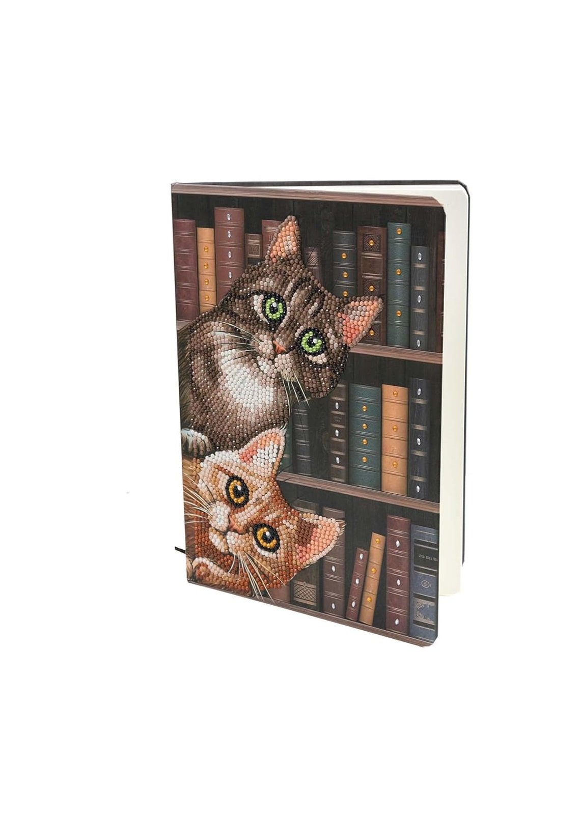 CA Notebook Kit: Cats in the Library