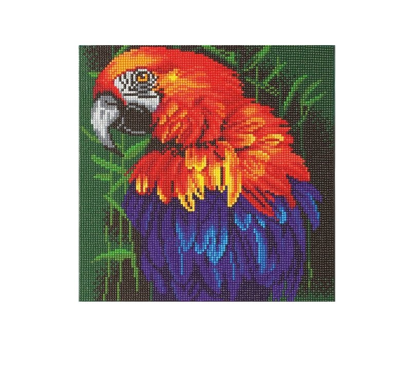 CA Mounted Kit (Med): Tropical Bird