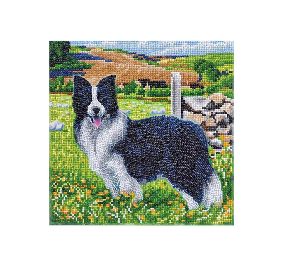 CA Mounted Kit (Med): Pup in the Field