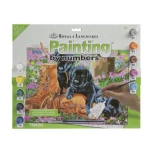 Royal & Langnickel Paint by Numbers- Trouble in the Garden