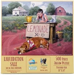 16851 - Liquidation Sale