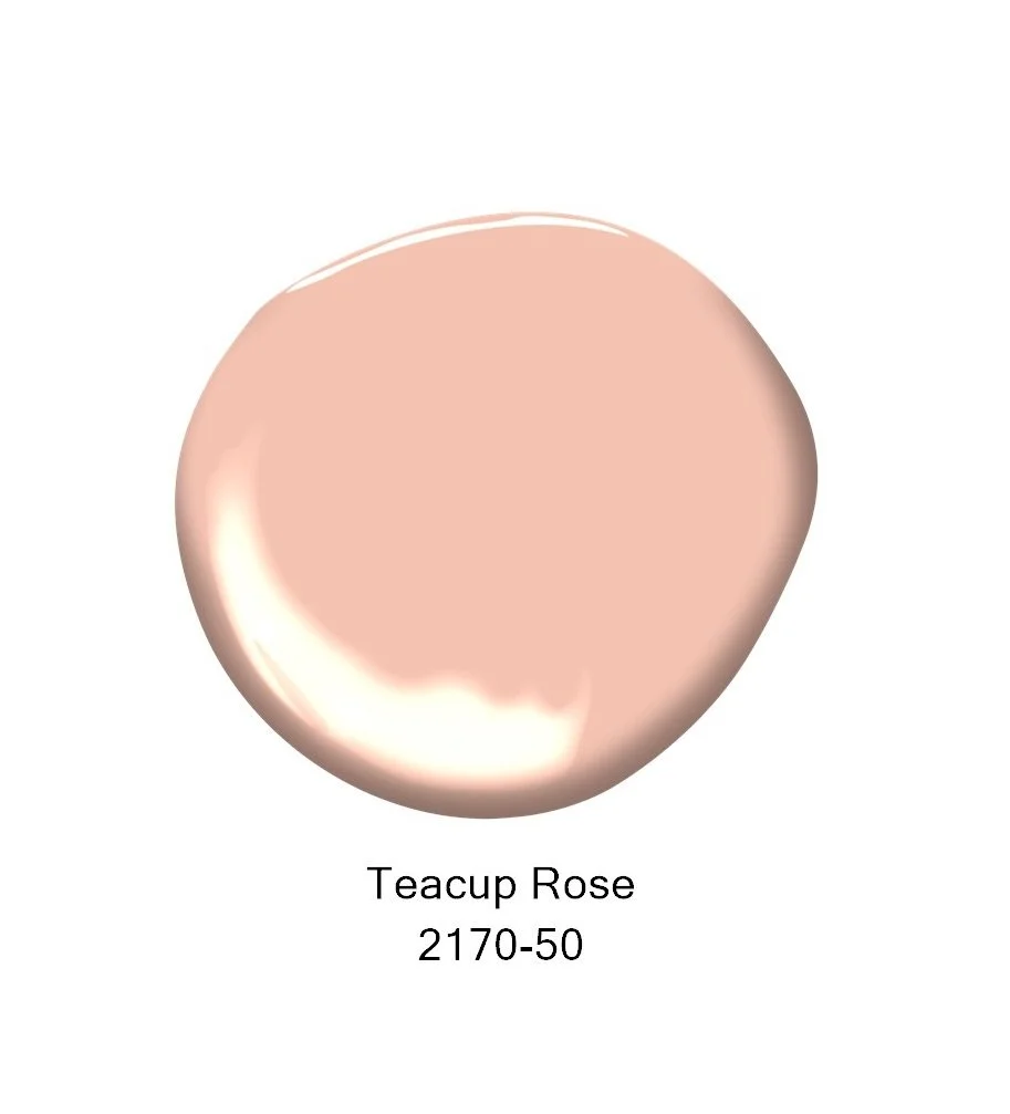Benjamin Moore 2024 palette colour