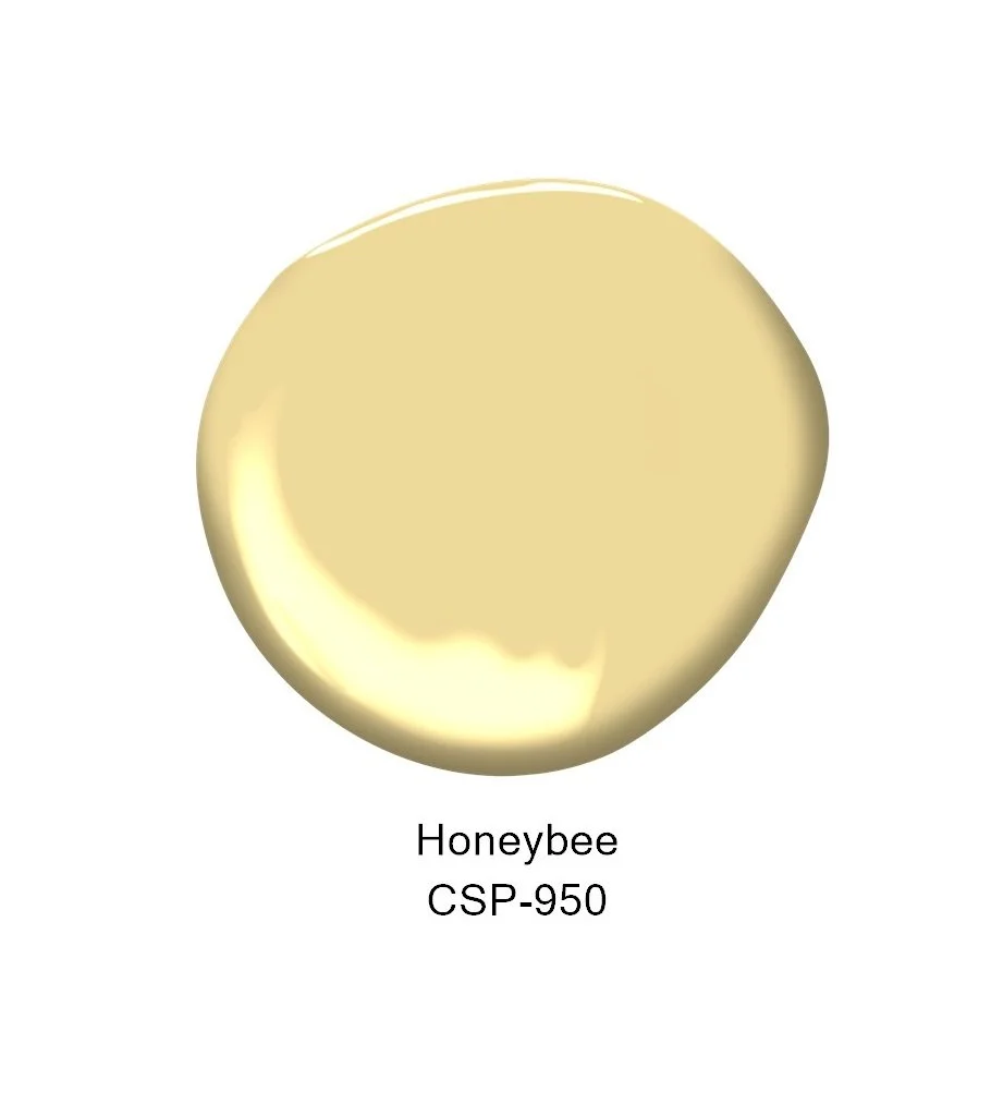 Benjamin Moore 2024 palette colour
