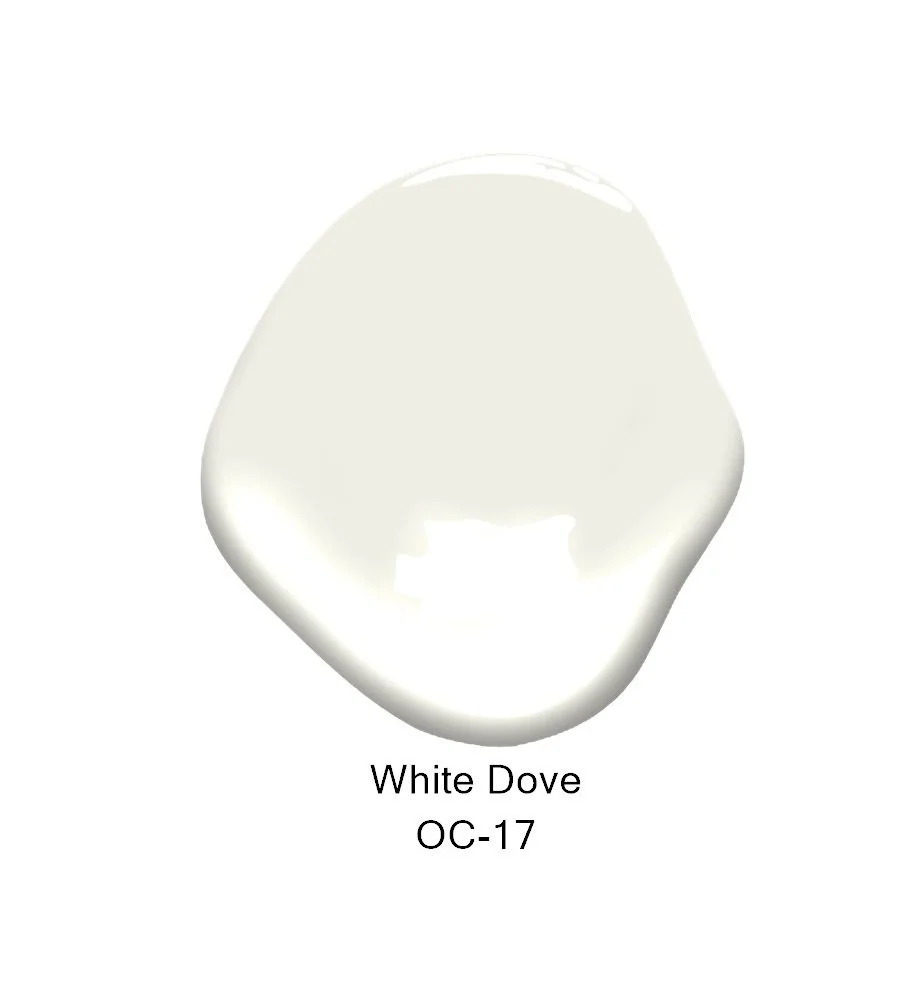 Benjamin Moore 2024 palette colour