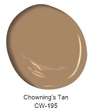 Benjamin Moore 2025 palette colour