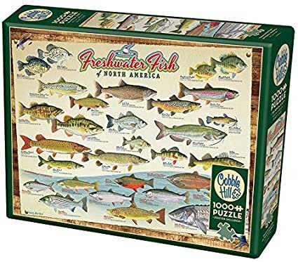 40181 - Fish Pics